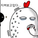 123막창양산