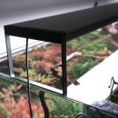 아쿠아펫 카페수족관 이미지