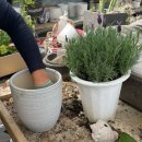 자양꽃직매장 이미지