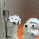 코튼빌리지 부산본점 이미지