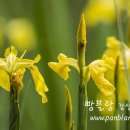 오늘의 바다 이미지