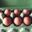 병두농장 이미지