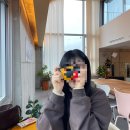 삭주로 R | [춘천] 춘천 그냥 가봤어 ver.2, 오하이하우스, 책방바라타리아, 스카이워크, 라이키, 밤티라미수...
