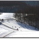 종일목장 이미지