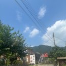 안옥화음식갤러리 | 건강해지는 요리를 먹다 발효 약선요리 경기으뜸맛집 안옥화 음식 갤러리