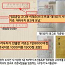 백제의후예
