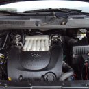 트라제5 이미지