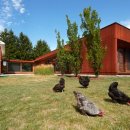 언덕위의집 이미지