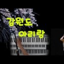 아리랑타이 이미지