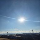 삼양목장 | 대관령 삼양라운드힐 _ 눈 보러 갔다 바람만 맞고 온 삼양목장 찐 후기 내돈내산 매점 간식 카페 정보