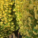 5.2.fri. 해.삼국지 42 적벽대전/동남풍/관우/조조/주유 이미지