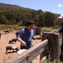 진우농장 이미지