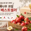 홈쇼핑의 모든 것 주식회사