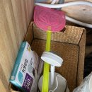 래태리 | 경주 감성 숙소 ‘래태리펜션’ 재방문 하고 싶은 곳! 앞집 후기