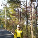 부여(임천)-15 이미지