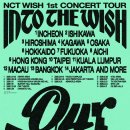 INTO THE WISH 콘서트 이미지