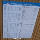 피자알볼로 대치직영점 꿈을피자L, 마르게리타L 포장, 가격과 메뉴, 영업시간