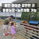 헤븐앤어스 | 용인 아이랑 갈만한 곳 동물 농장 농촌 체험 가능한 헤븐온어스 후기