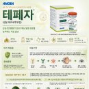 첨담기업3로1R-4 | (7월 29일) HLB·펩트론 이어 코오롱까지 ‘오너 등판’ 자사주 매입…“투자심리 회복 이어질까”