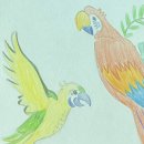 왜관중앙초교 | 왜관꽃집 르부케에서 기업강의 학교강의 원예수업 강추