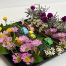 배곧새봄유치원 이미지