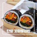 꼬마김밥 | 단양구경시장맛집 / 김밥,탕수육 포장맛집 꼬마뚱김밥 후기