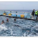 두려움을 제거하는 가장 빠른 방법 이미지