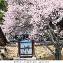 밀양향교 이미지