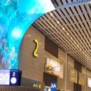 드림아인스빌마트 | 5주간 유럽여행에 필요한 해외여행 준비물 리스트업 및 참고한 유튜브 링크 모음