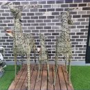 아이코코키즈풀빌라 이미지