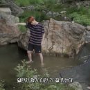 동심어페럴