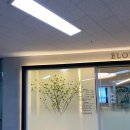 엘로디의원 이미지