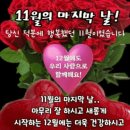 사랑으로 이미지