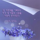 마태복음 4장 23절 (2024년 8월 30일) / 서은석 목사 이미지