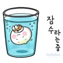 11월 28일 출석부&오늘의 운세 ＜잠수 끝!＞ 이미지