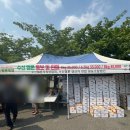 2025 수신멜론 축제 현장 체험 후기(주차, 시식, 수확시기 꿀팁)