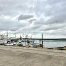 궁평리 어촌체험 휴양마을 협의회 | 김녕어촌체험휴양마을 ‘씨글라스 석고 방향제’ 공예 체험