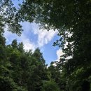 남조로사려니숲길 앞 이미지