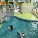 율암 | 경기도 아기랑 수영장 화성 프로방스 율암 온천 물놀이 후기