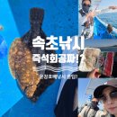 속초배낚시 윤창호배낚시 : 인생 도다리 조과부터 즉석회 공짜 서비스까지 대만족!
