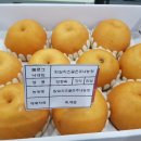 배골농장 이미지