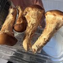 시골한우곰탕 | 부산 광안리 한우 곰탕 맛집 / 술찬제비 / 광안리 점심 맛집, 솔직 후기