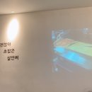 2.28기념중앙공원 이미지
