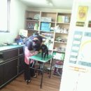 멍멍클럽 이미지