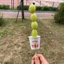 네버슬립독 | 여름과 가을사이 2편 (사마귀, 지렁이, 잠자리… 곤충 주의)