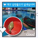 낭만물고기실내바다낚시터 이미지