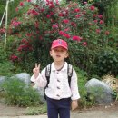 삼가초등학교(병설) 이미지