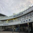 야호수산 | 가락시장 횟집 <온달수산> 봄한정 '도다리잖아' 추천 포장후기