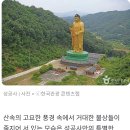"10m가 넘는 불상만 대체 몇 개야?" 한국에서 가장 큰 좌불까지 볼 수 있는 이색 사찰 이미지