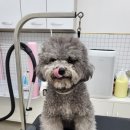 MUNG MOO 이미지